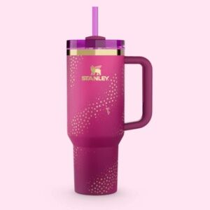 Limited edition Barbie X Stanley “70’s Superstar” 40oz tumbler